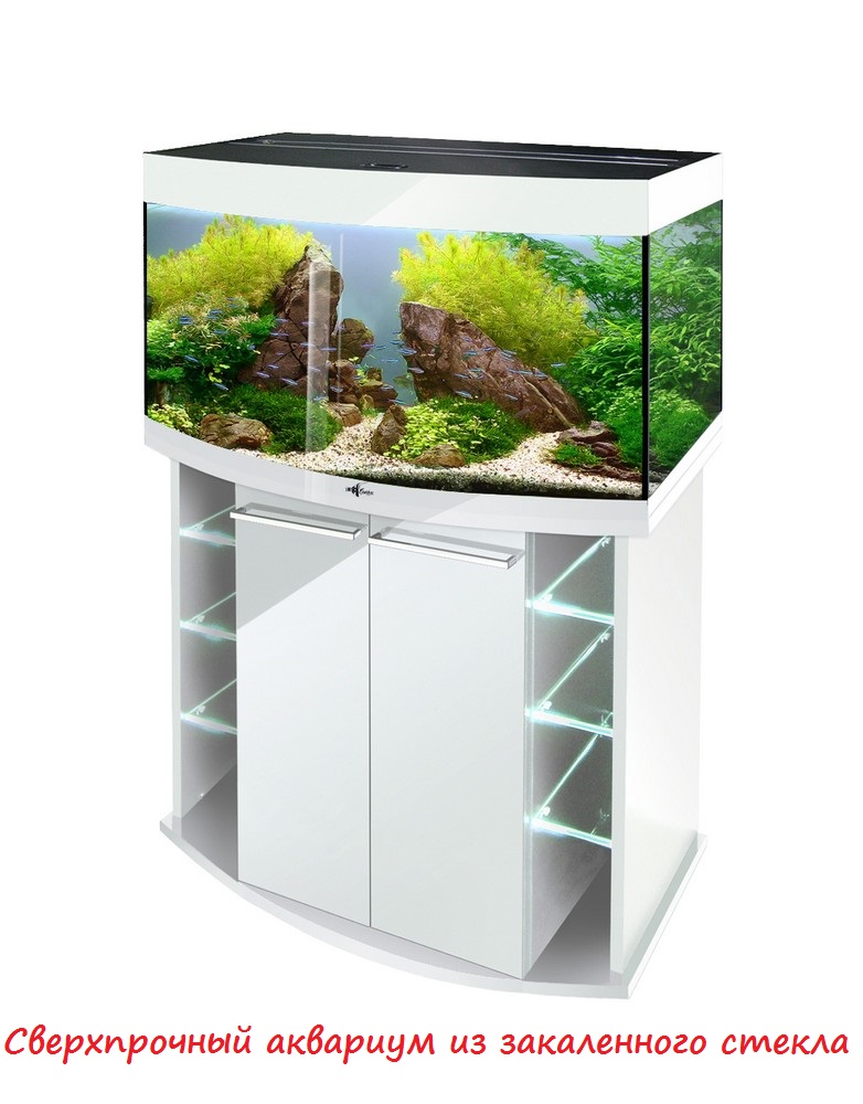 Аквариум Biodesign Crystal Panoramic 145