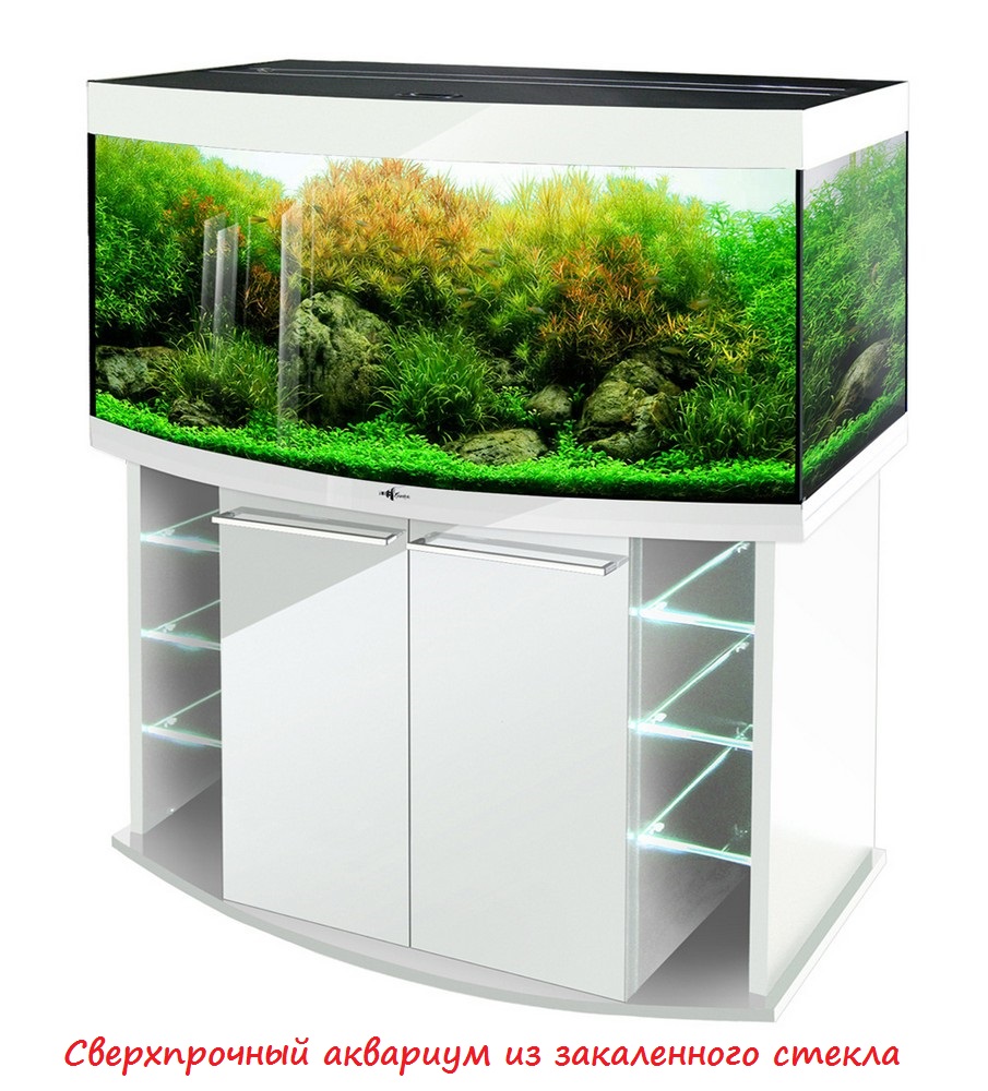 Аквариум Biodesign Crystal Panoramic 310