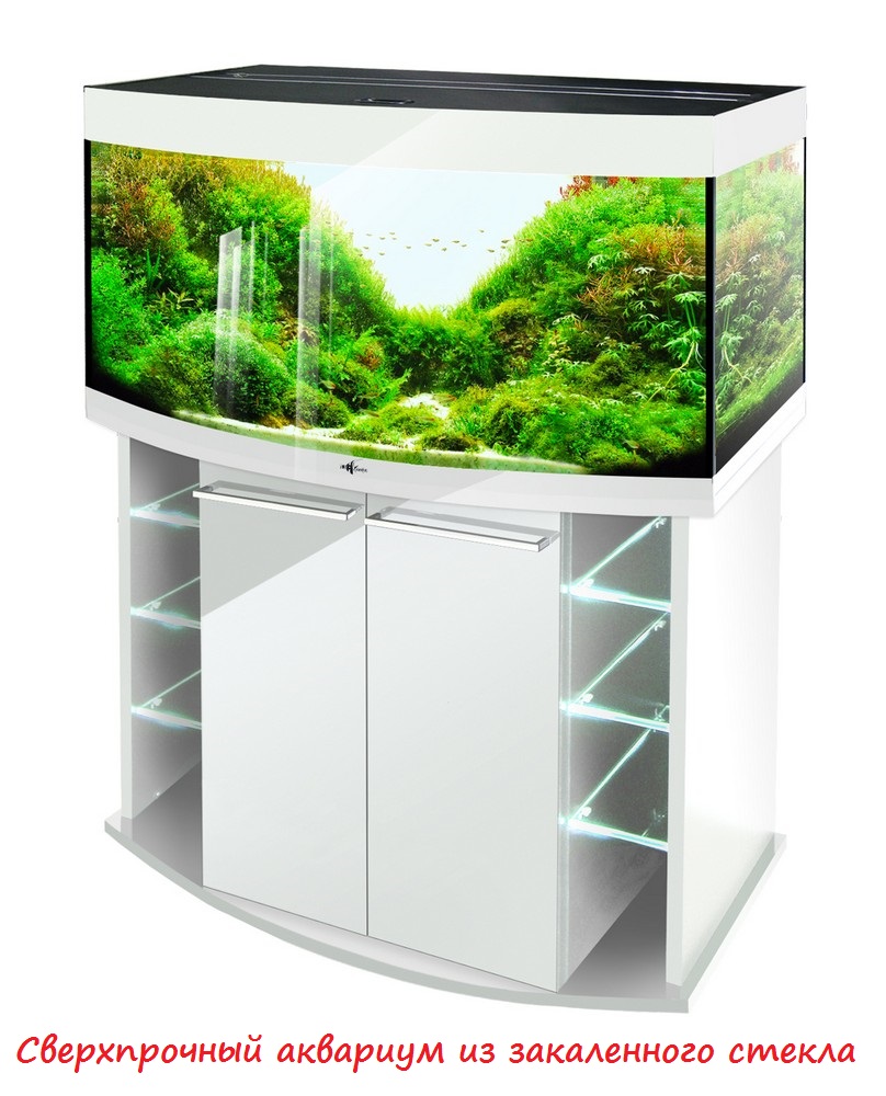 Аквариум Biodesign Crystal Panoramic 210